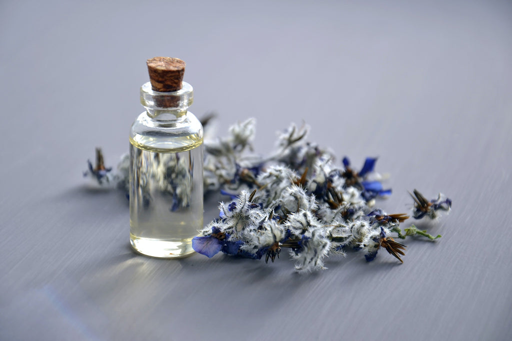 Bottle of essential oil next to lavender flowers